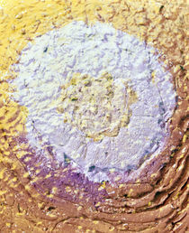 Crackled plaster in shape of sunny side up egg on dark yellow by Panoramic Images