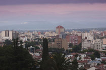 Buildings in a city, Salta, Argentina by Panoramic Images