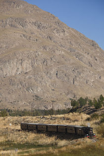 La Trochita narrow gauge steam train von Panoramic Images