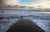 Slipway at Stage Cove by Panoramic Images