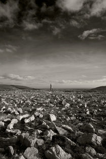 Standing Stone, Monavullagh Mountains, County Waterford, Ireland von Panoramic Images