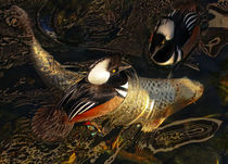 Ducks Over Koi 1 by Eye in Hand Gallery