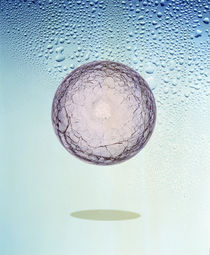 Crystal sphere floating in water and bubbles by Panoramic Images