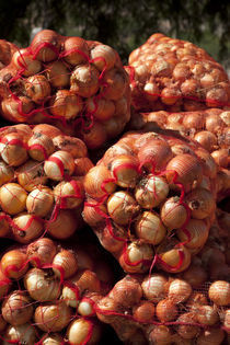Close-up of sack of onions von Panoramic Images