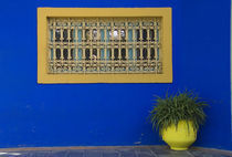 Potted plant beneath a window covered by a decorative grille von Panoramic Images