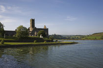 14th Century Timoleague Abbey, Timoleague, County Cork, Ireland von Panoramic Images