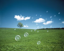 Soap bubbles floating over a field by Panoramic Images