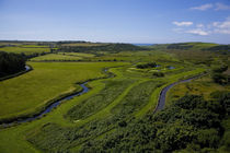 Re-cycling Reed Beds von Panoramic Images