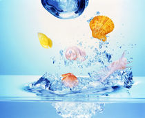 Multicolored seashells and water bubbles in churning water von Panoramic Images