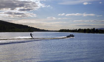 Water Ski-ing on the River Suir, Fiddown, County Kilkenny, Ireland von Panoramic Images