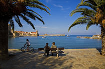 Collioure - Fishing Village and Artists Colony, Pyrenees-Orientales, France by Panoramic Images