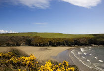 Stradbally Cove, The Copper Coast, Co Waterford, Ireland von Panoramic Images