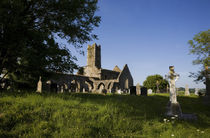 14th Century Timoleague Abbey, Timoleague, County Cork, Ireland by Panoramic Images
