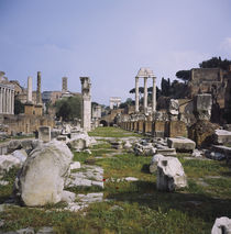 Old ruins in a city, Roman Forum, Rome, Italy von Panoramic Images