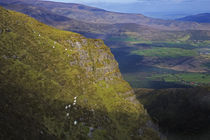 View from Farbreaga, Monavullagh Mountains, County Waterford, Ireland von Panoramic Images