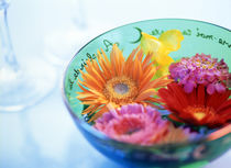 Pink, orange and yellow flowers floating in a blue bowl by Panoramic Images