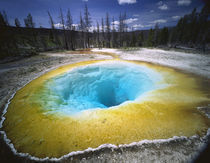 USA Wyoming Yellowstone National Park by Panoramic Images