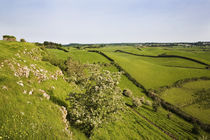 Drumlin Landscape, From Roche Castle, County Louth, Ireland by Panoramic Images