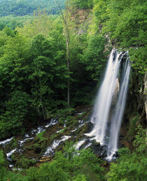 High angle view of Falling Spring Falls von Panoramic Images