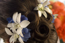 Close-up of flowers in a bride's hair, Bainbridge Island, Washington State, USA von Panoramic Images