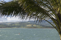 Wind surfer in a lake, Arenal Lake, Guanacaste, Costa Rica by Panoramic Images
