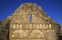 Romaneque Carvings on St Declan's Cathedral, Ardmore, Co Waterford, Ireland by Panoramic Images
