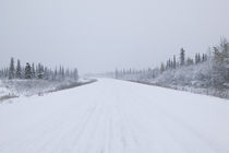 Highway passing through a snow covered landscape by Panoramic Images