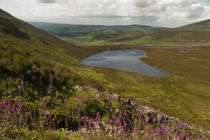 The Nire Valley from the Comeragh Mountains, County Waterford, Ireland by Panoramic Images