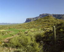 High angle view of a golf course, Gold Camp, Pinal County, Arizona, USA von Panoramic Images
