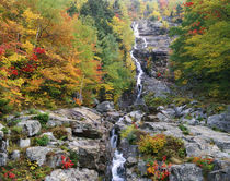 USA, New Hampshire, White Mountains National Forest von Panoramic Images