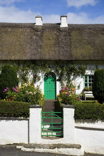 Traditional Cottage Doorway, Stradbally, County Waterford, Ireland von Panoramic Images