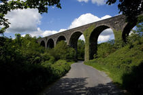 Disused Railway Viaduct, Near Stradbally, County Waterford, Ireland von Panoramic Images