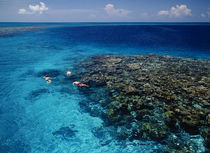 High angle view of three men snorkeling in the sea von Panoramic Images