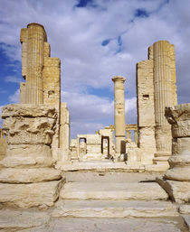 Ruins of a colonnade, Palmyra, Syria