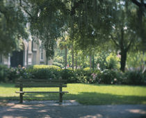 Empty bench in a park, Forsyth Park, Georgia, USA by Panoramic Images