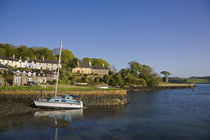 Strangford Harbour, Co Down, Ireland by Panoramic Images