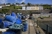 The Fishing Harbour, Cobh, County Cork, Ireland von Panoramic Images