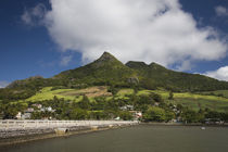 Pier leading towards a village, Vieux Grand Port, Lion Mountain, Mauritius von Panoramic Images