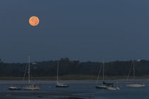 Moonset over a river by Panoramic Images
