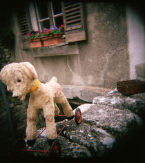 Antique toy dog with wheels, Provence, France by Panoramic Images