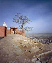 View from Temple of Monkeys, Jaipur, Rajasthan, India by Panoramic Images