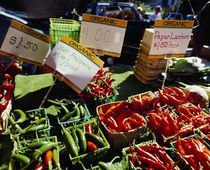 Chilli peppers in a market stall, Grand Rapids, Kent County, Michigan, USA von Panoramic Images