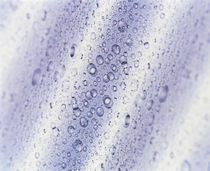 Close up of water droplets with stripes of lavender and white background von Panoramic Images