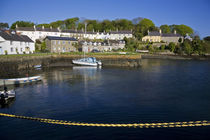 Strangford Harbour, Co Down, Ireland by Panoramic Images