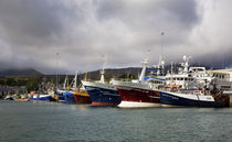 Fishing Boats in the Harbour by Panoramic Images