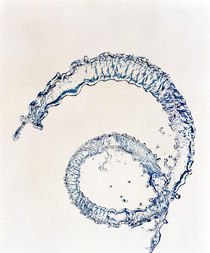 Curl of water drops on white background by Panoramic Images