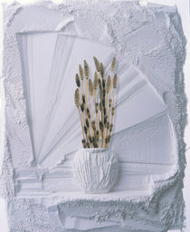 White plaster decorative ledge with white plaster vase holding cattails by Panoramic Images