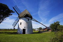 Thatched Windmill, Tacumshane, County Wexford, Ireland von Panoramic Images
