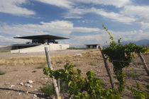 Winery in a field von Panoramic Images
