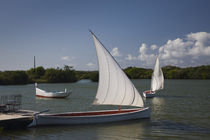 Traditional pirogue boats in the sea, Blue Bay, Mauritius by Panoramic Images